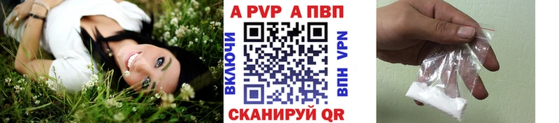 дарнет шоп  Большой Камень  А ПВП СК 