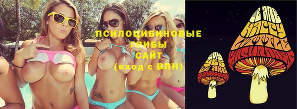 стаф Беломорск