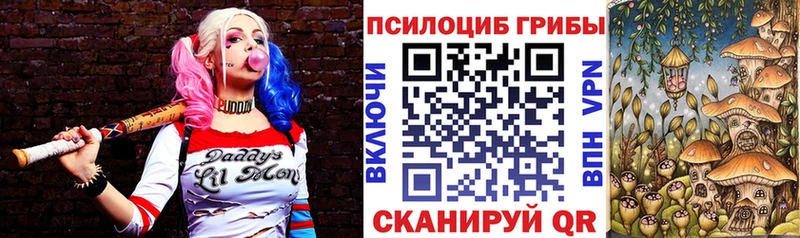 Псилоцибиновые грибы прущие грибы  blacksprut ССЫЛКА  Большой Камень  как найти  